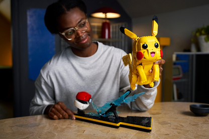 Pikachu and Poké Ball - 72152