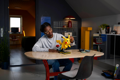 Pikachu and Poké Ball - 72152