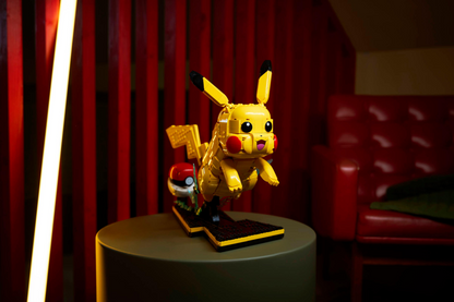 Pikachu and Poké Ball - 72152