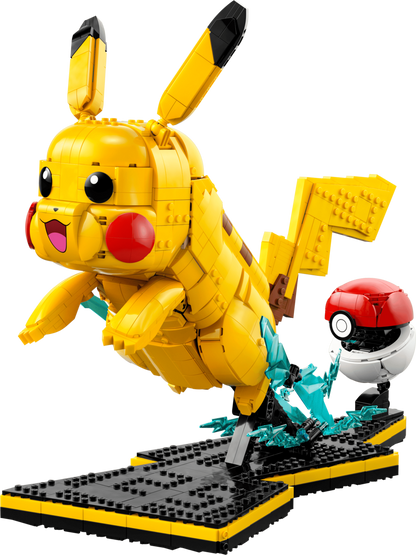 Pikachu and Poké Ball - 72152