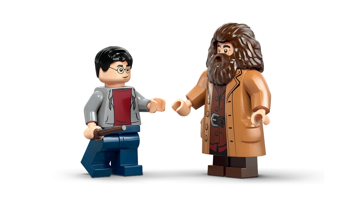 Hagrid™ en Harry's Ligusterlaan ontsnapping - 76459