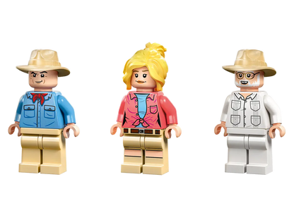 Triceratops Research - 76960