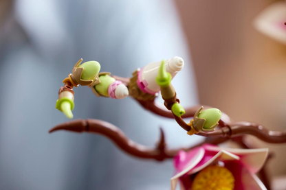 Magnolia branches - 11510