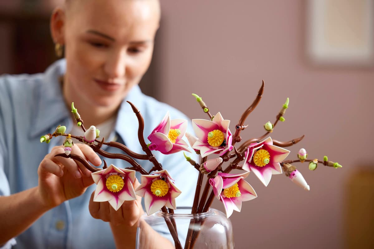 Magnolia branches - 11510