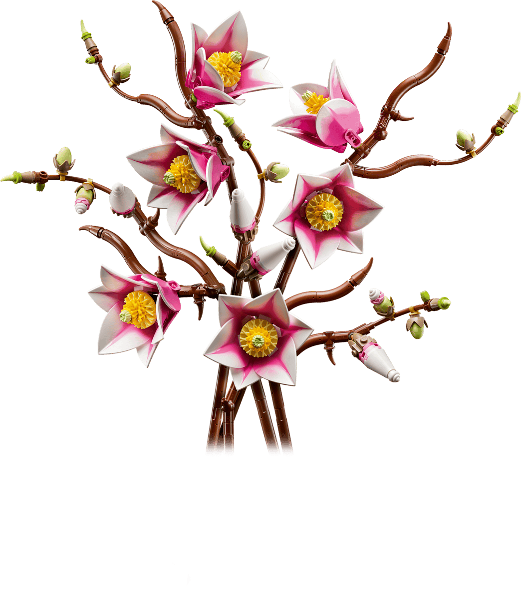 Magnolia branches - 11510