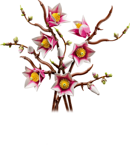 Magnolia branches - 11510