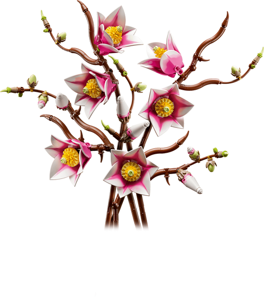 Magnoliatakken - 11510