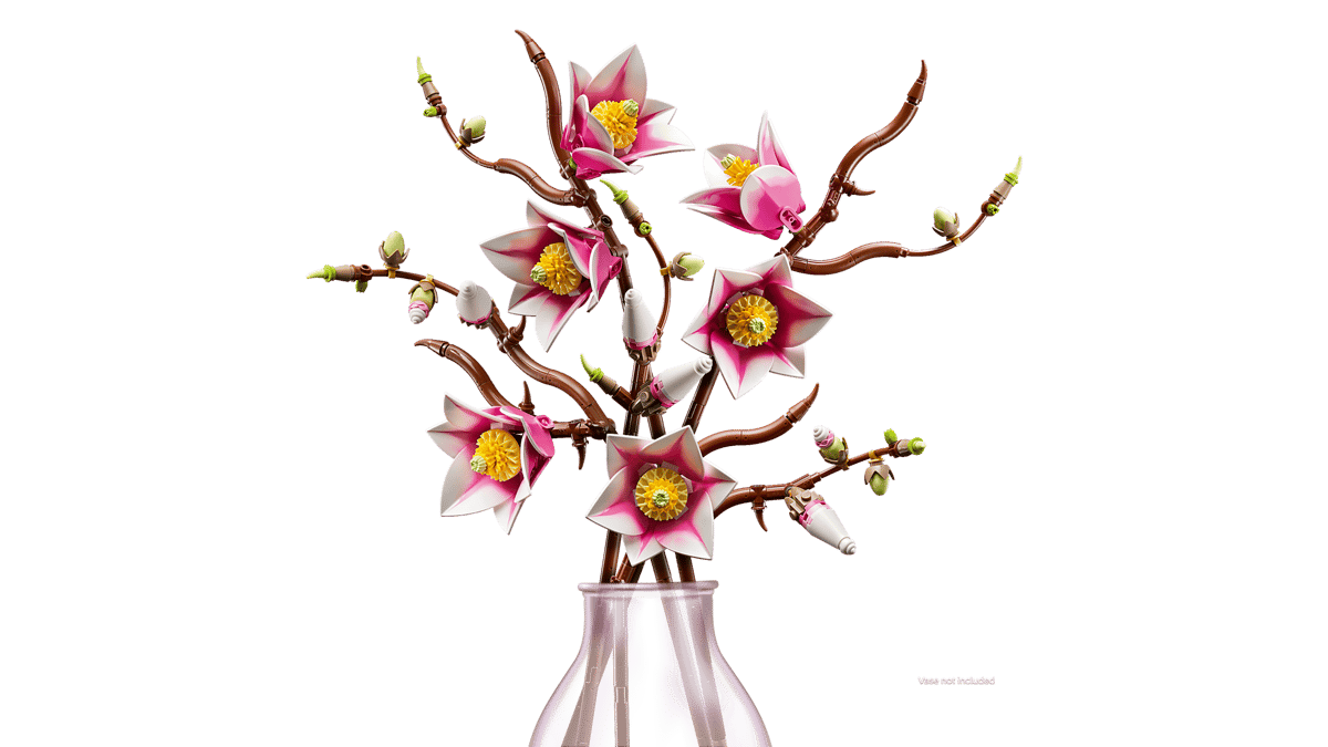 Magnolia branches - 11510