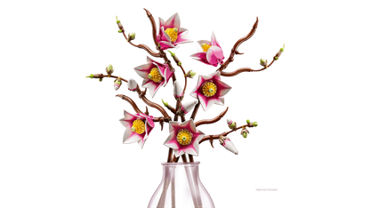 Magnolia branches - 11510