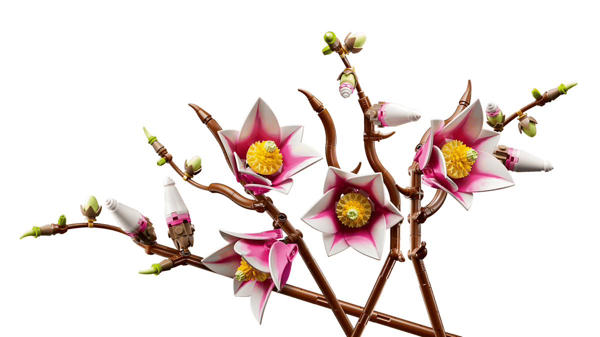 Magnolia branches - 11510