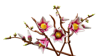 Magnolia branches - 11510
