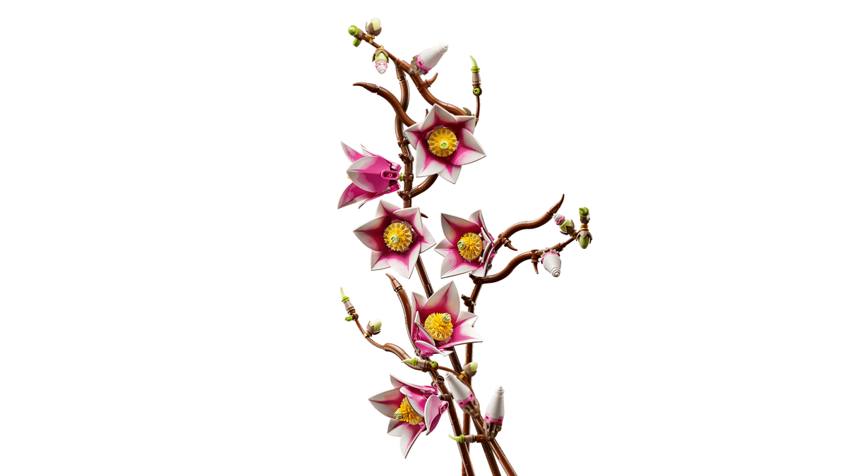 Magnolia branches - 11510