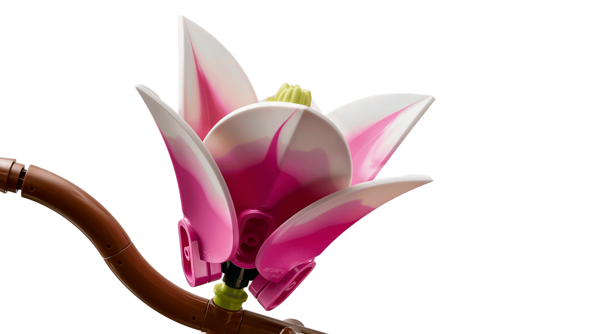 Magnolia branches - 11510