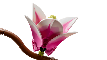Magnolia branches - 11510