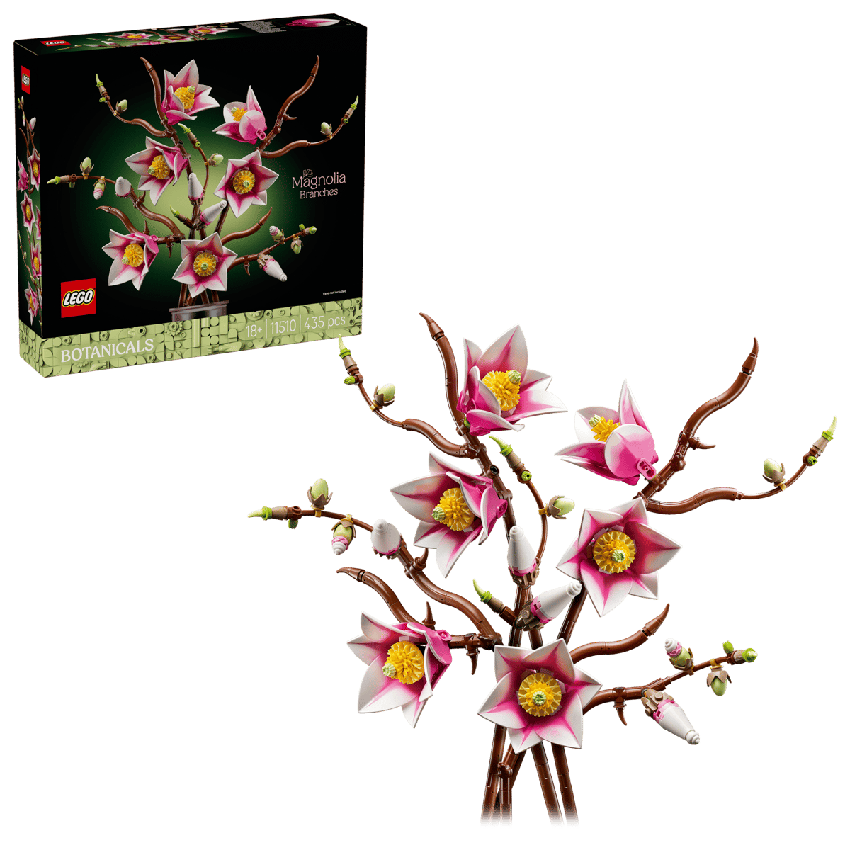 Magnolia branches - 11510
