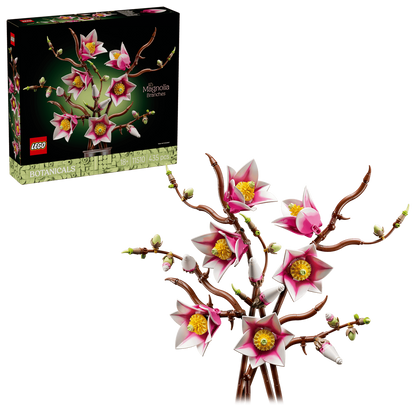 Magnolia branches - 11510