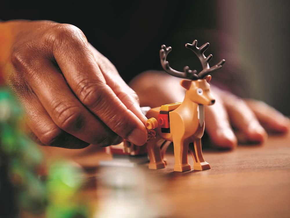 Elf Clubhuis - 10275