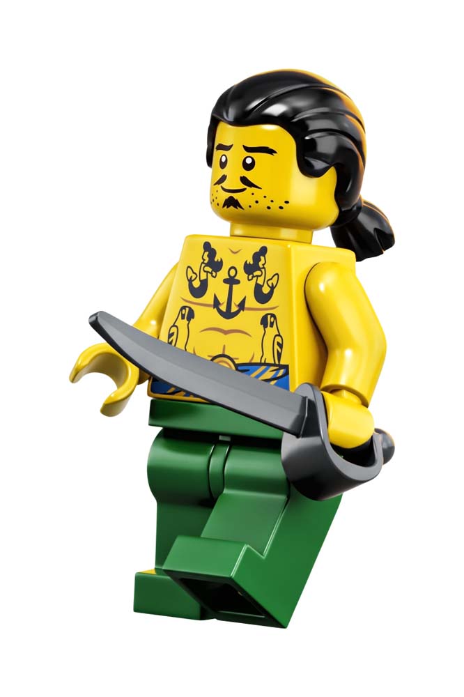 Piraten van Barracuda Baai - 21322