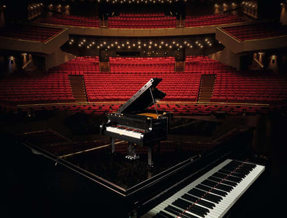 Vleugelpiano - 21323