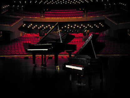 Vleugelpiano - 21323